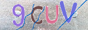 キャプチャ画像